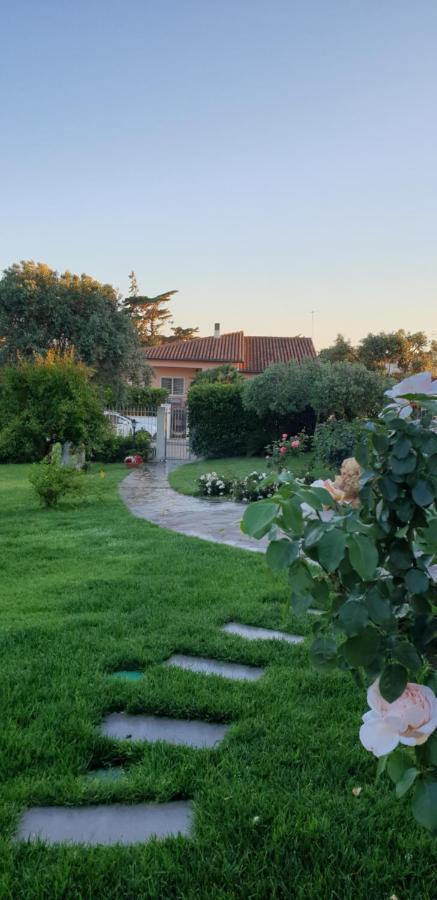 Villa Luce B&B Olbia Exterior photo